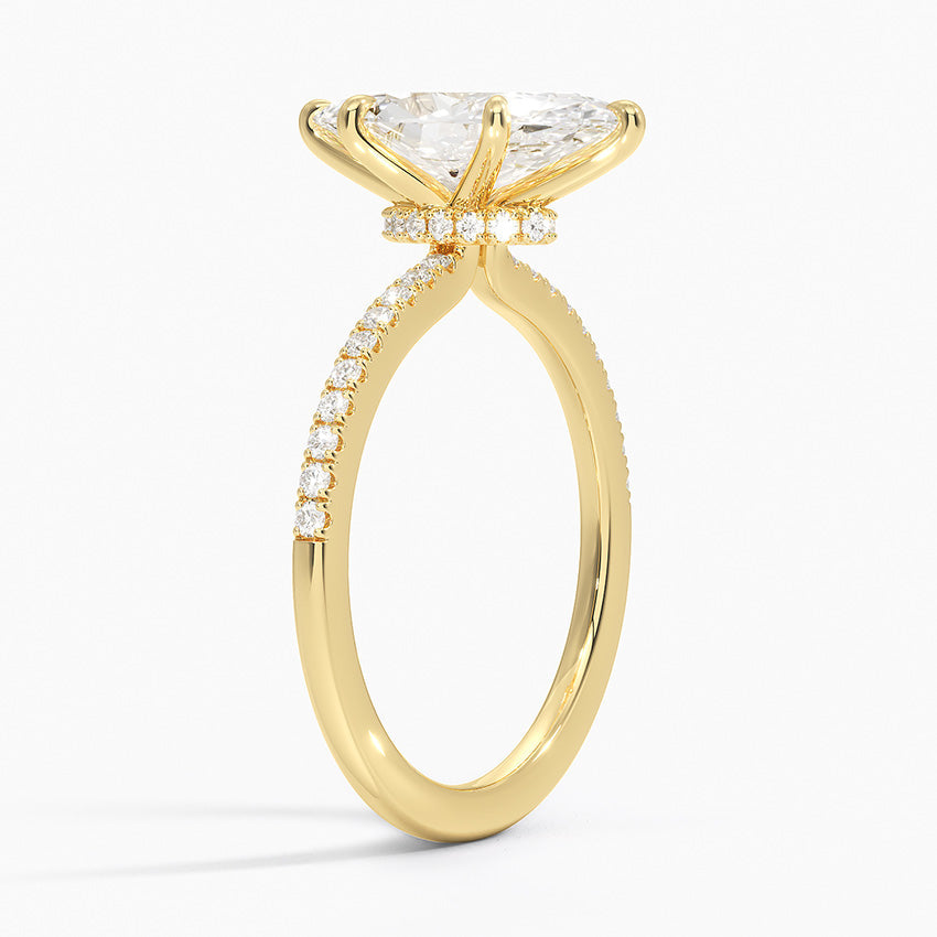 #color_yellow gold