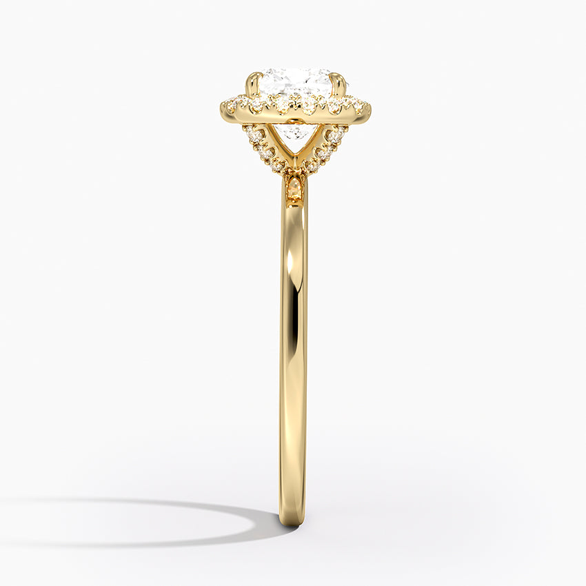 #color_yellow gold
