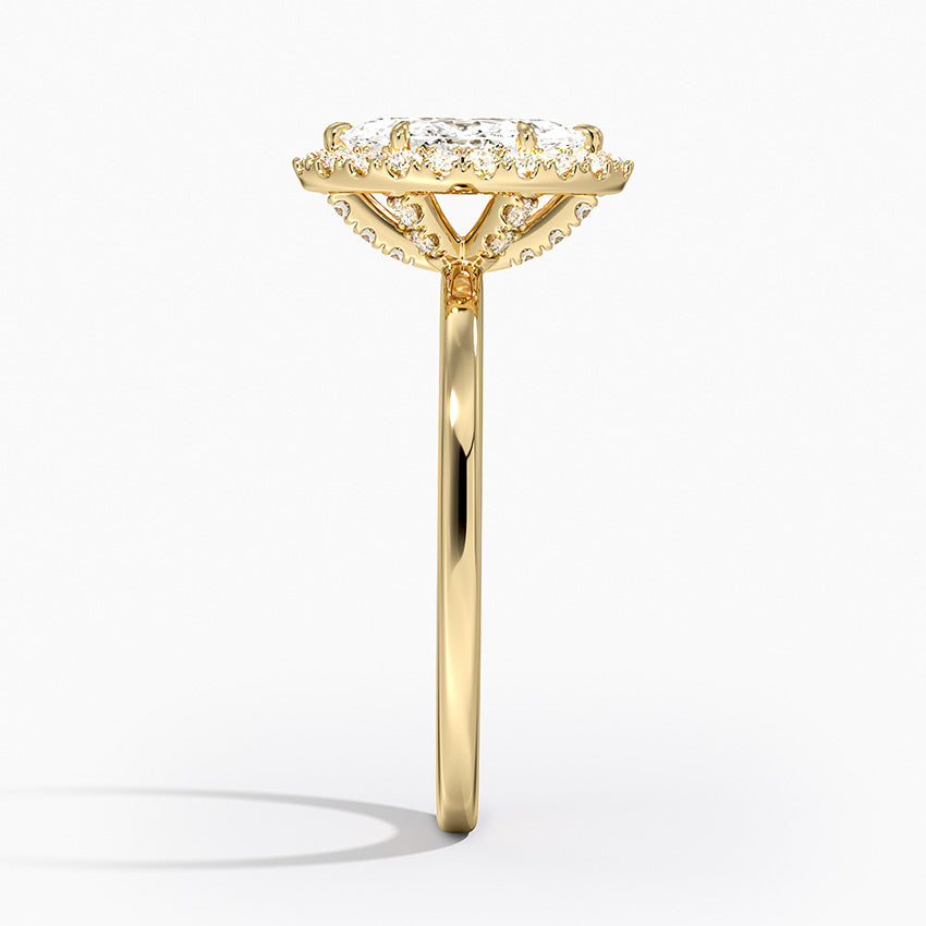 #color_yellow gold