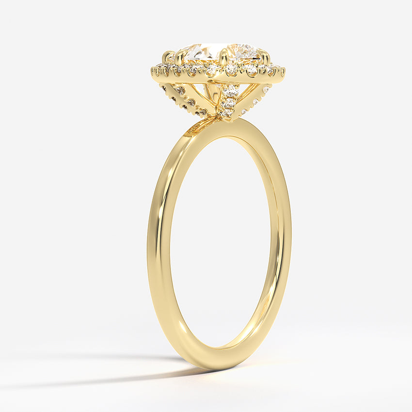 #color_yellow gold