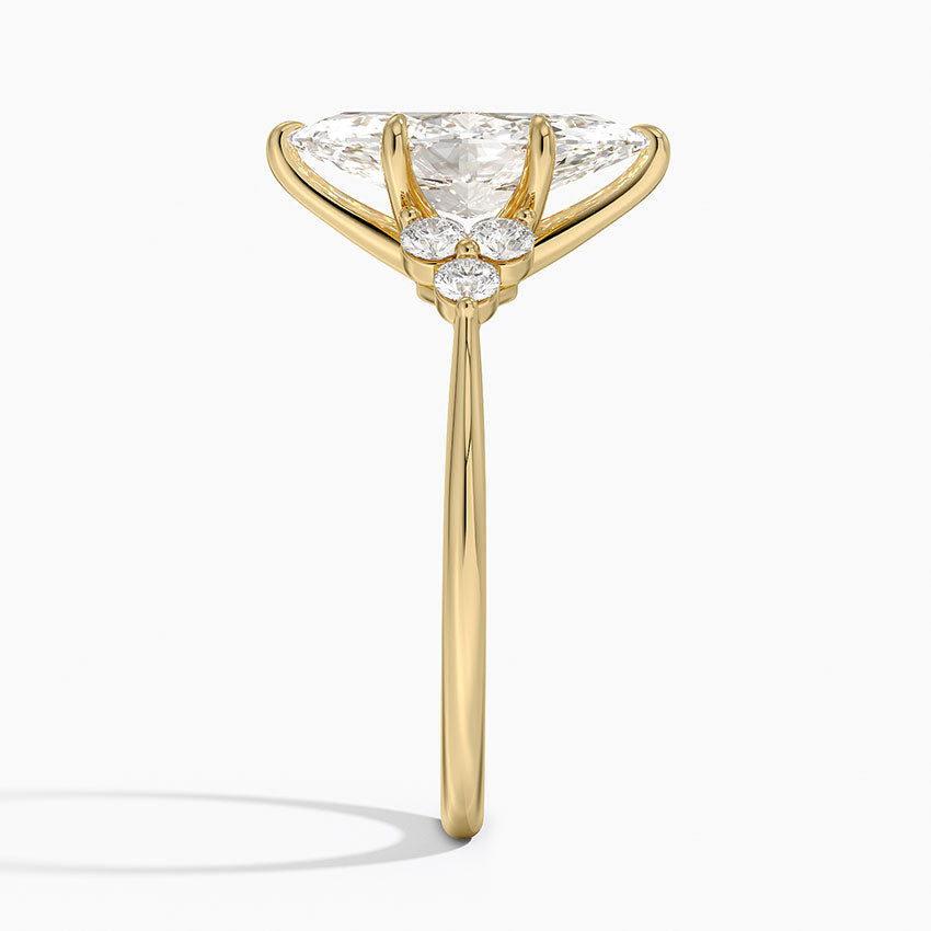 #color_yellow gold