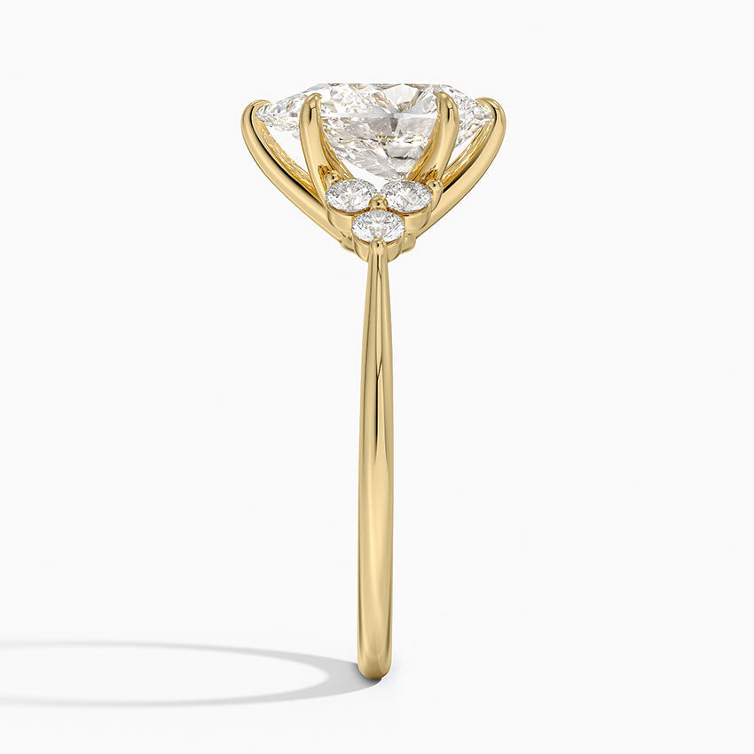 #color_yellow gold