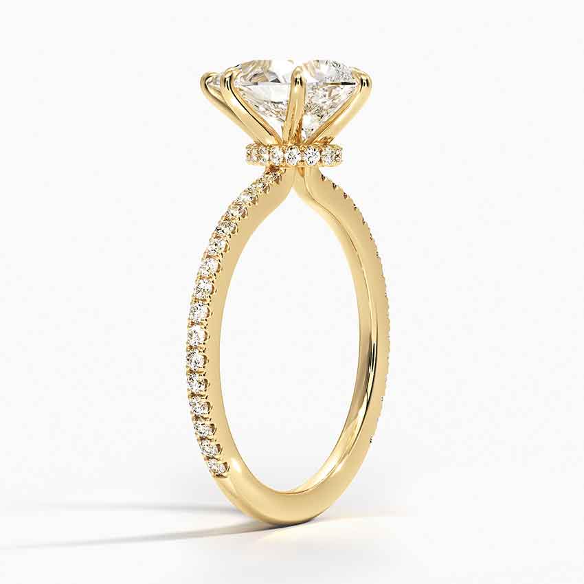 #color_yellow gold