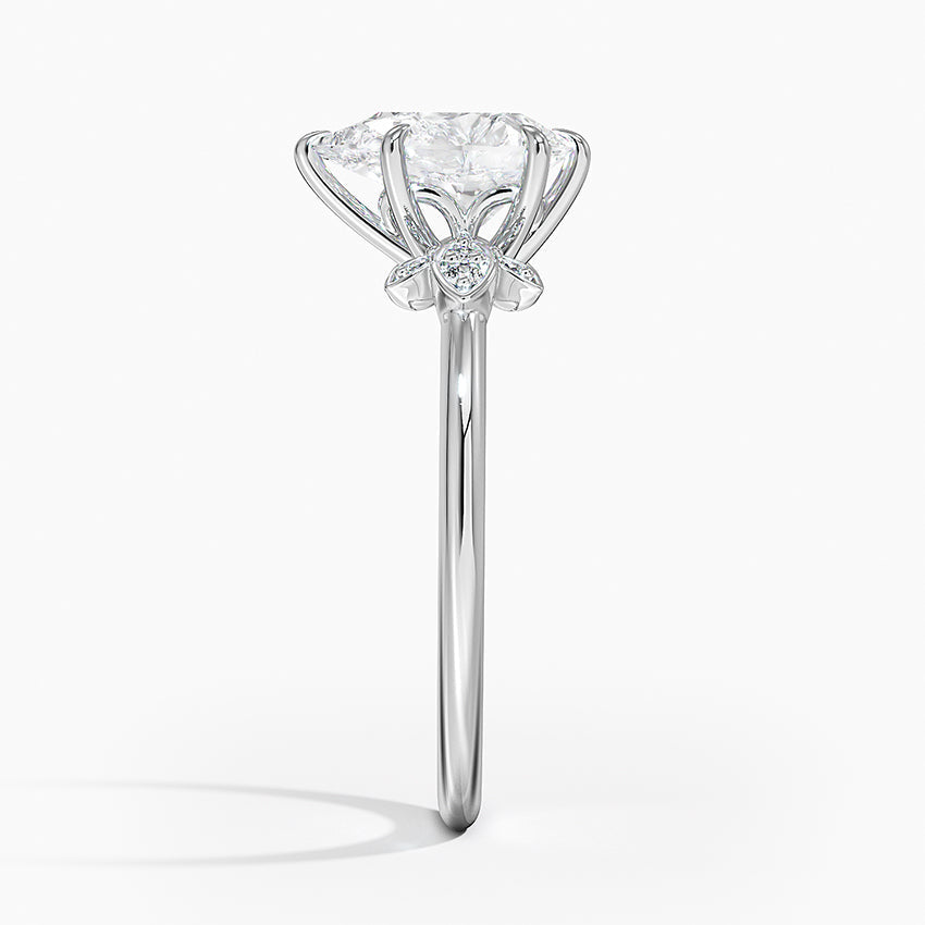 #color_white gold