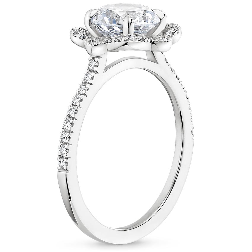 #color_white gold