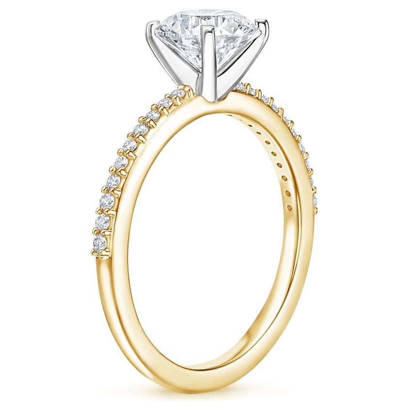 #color_yellow gold