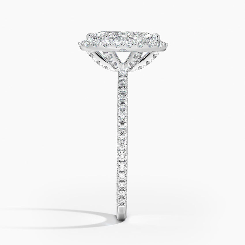 #color_white gold