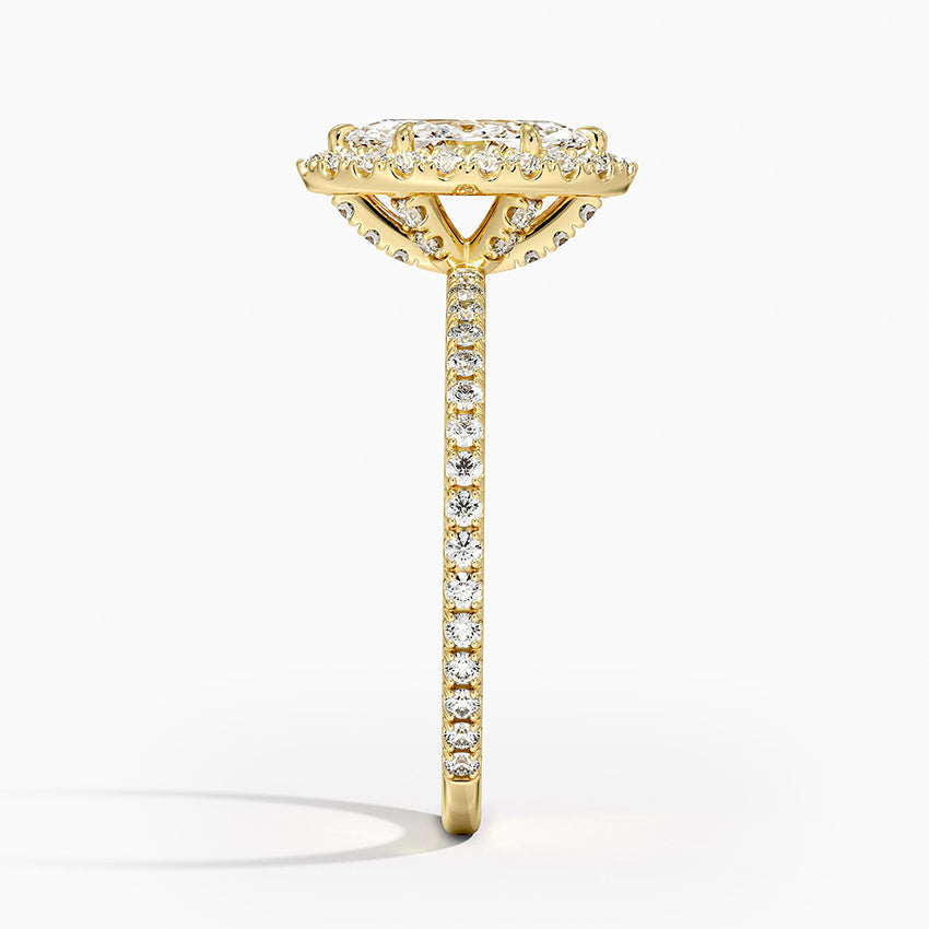 #color_yellow gold